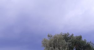 Oblačno, kiša