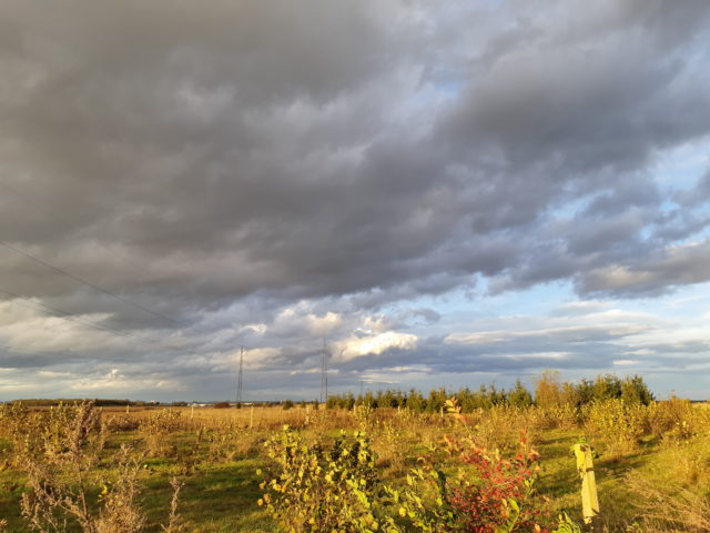 djelomično sunčano, oblačno