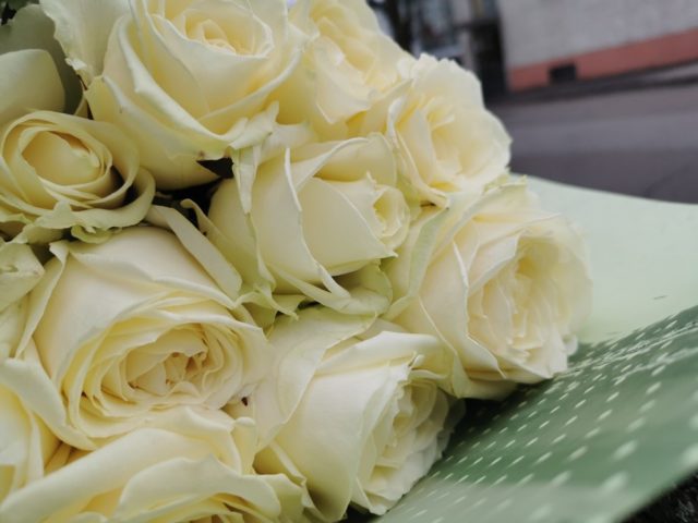 U-Međimurju-obilježen-Međunarodni-dan-sjećanja-na-žrtve-holokausta-5