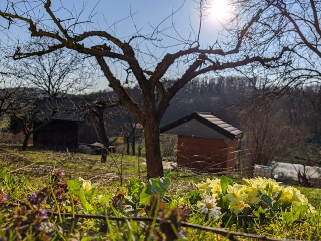 Sunčano proljeće