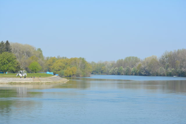 Drava špica sunčano pridoda