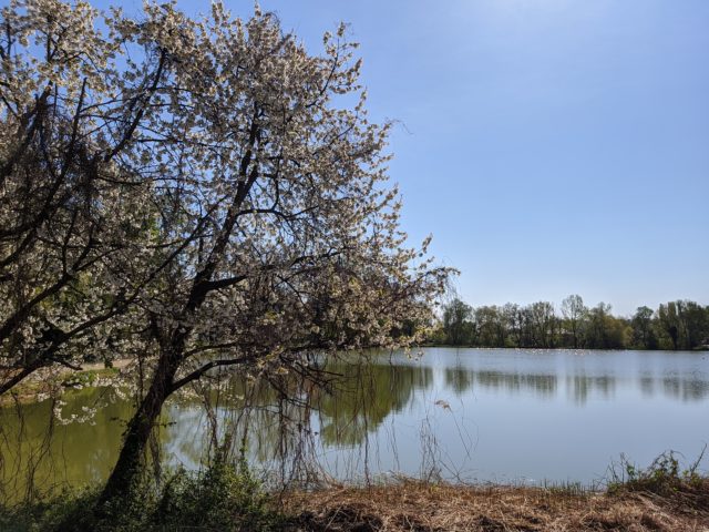 Sunčano jezero priroda