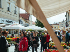 Još danas i sutra uživajte u Festivalu cvijeća, jagoda i tradicije u centru Čakovca