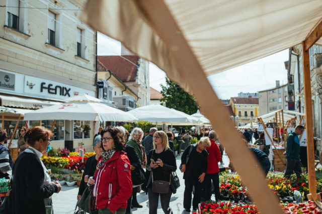 festival cvijeća jagoda i tradicije čakove