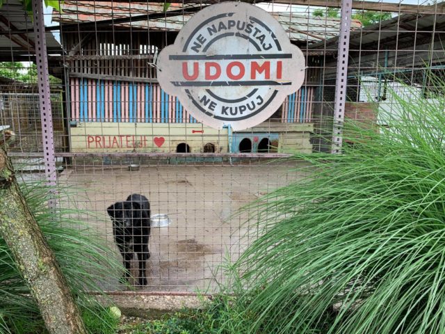 sklonište prijatelji čakovec