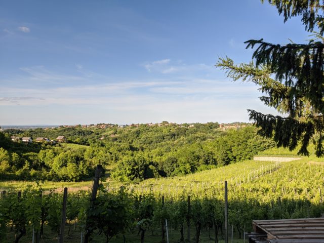 sunčano