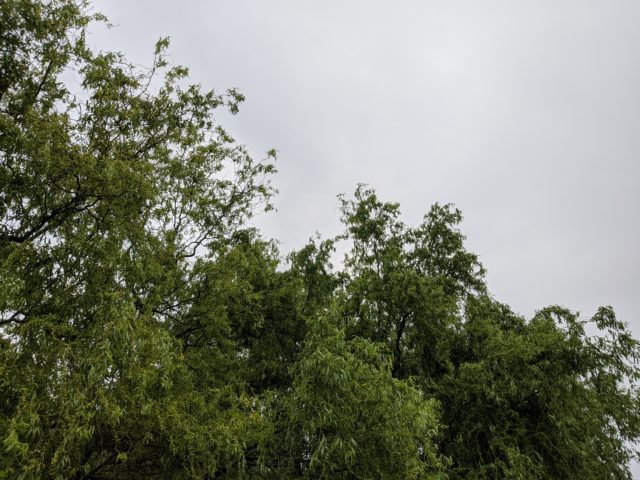 Oblačno kiša