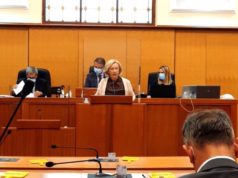 Martinčević u Saboru o “Lepoglavskoj spojnici”: Realizacija brze pruge jedan od ključnih regionalnih i nacionalnih prioriteta