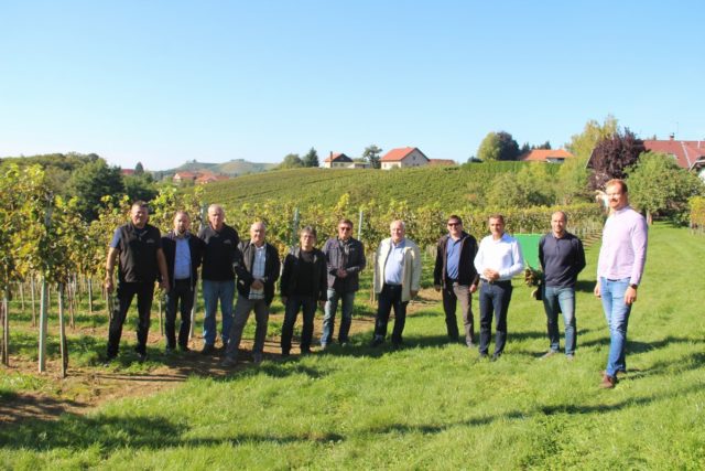 Berba-klonske-selekcije-pušipela-i-promocija-Decantera-21