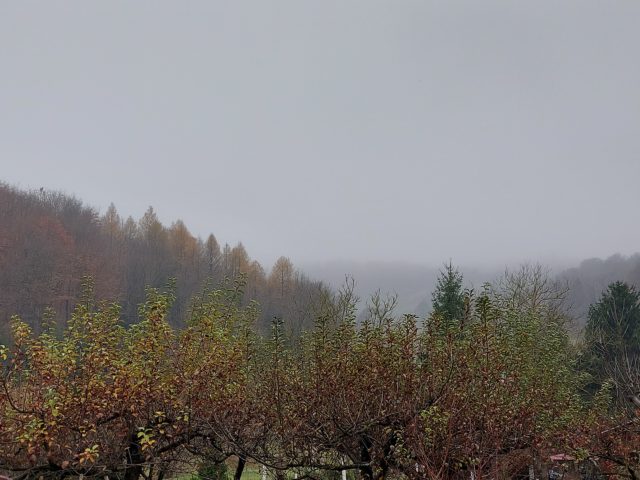 oblačno magla