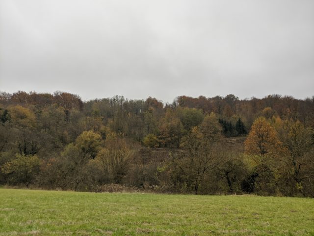 IMG_20201114_120707