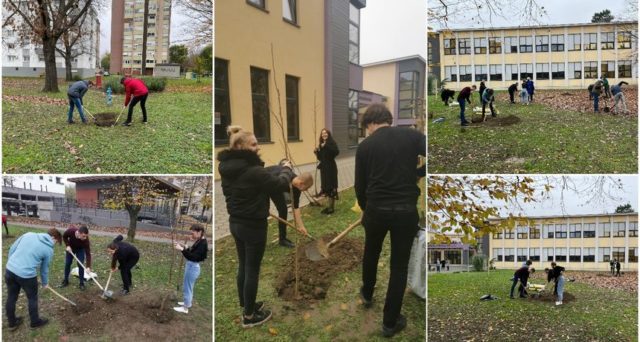 gimnazija-25069b987a26284e7f4401a6c8898c7c_view_article_new