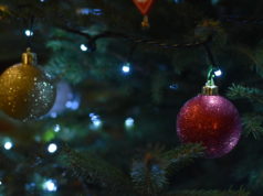 Badnjak je, vjernici se pripremaju za blagdan Božića