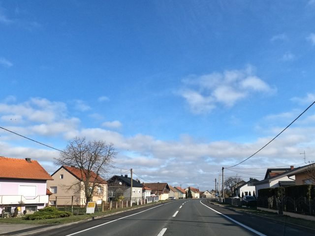 pušine djelomice sunčano.JPG