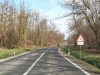 VOZAČI OPREZ: Divljač na cesti!