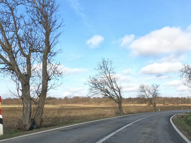 djelomice sunčano.JPG