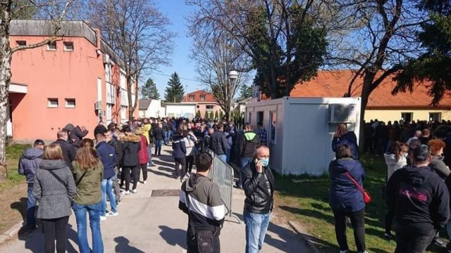 vž koronavirus