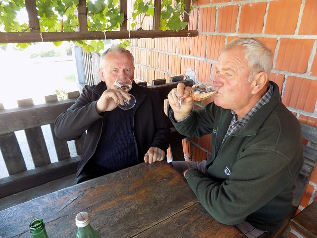 vino