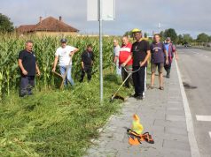 Branitelji uklanjali ambroziju na gradskim površinama