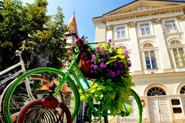 varazdin-ljeto-cvijece_05