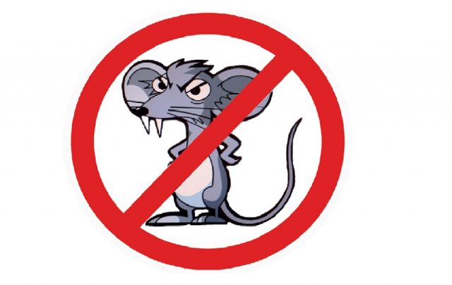 Souris