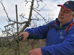 Voćari, vinogradari i povrćari Gornjeg Međimurja u borbi protiv mraza