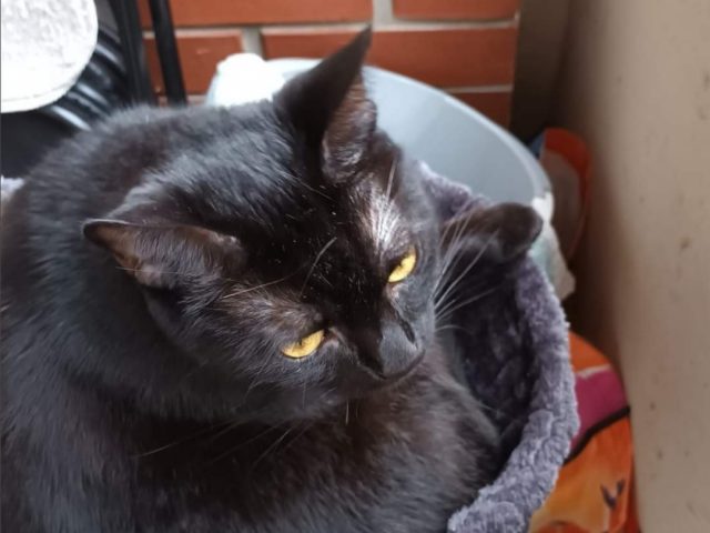 Screenshot_20220916_101648