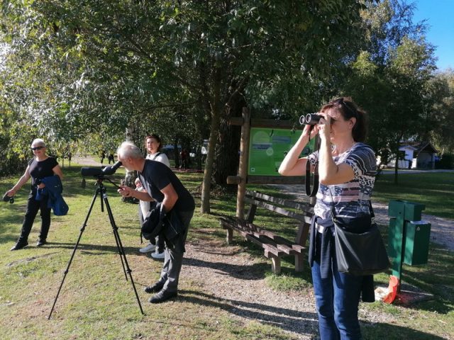 EuroBirdwatch_Marina Prelog (11)