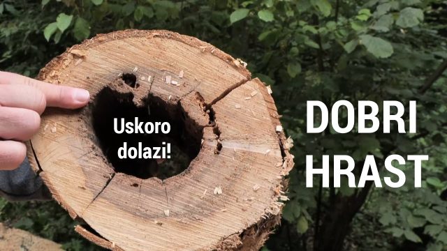 telop you tube - Dobri hrast 01