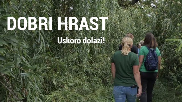 telop you tube - Dobri hrast 03
