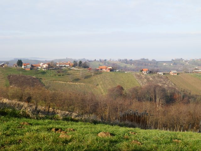 štrigova