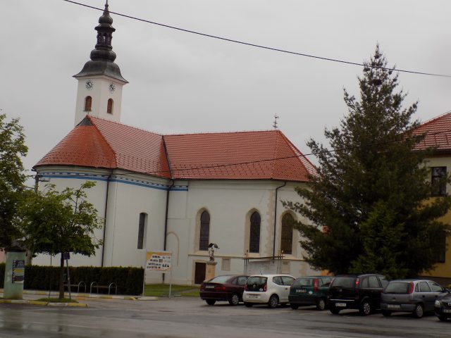 hvali19