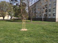 Turistička zajednica grada Čakovca sudjeluje u stvaranju zelenih oaza diljem grada