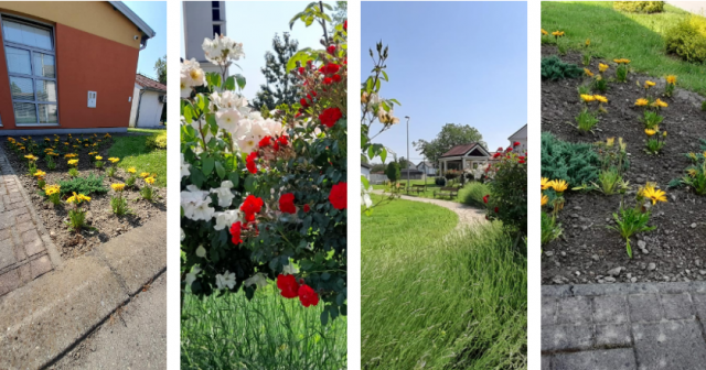slika_2023-06-16_143945827