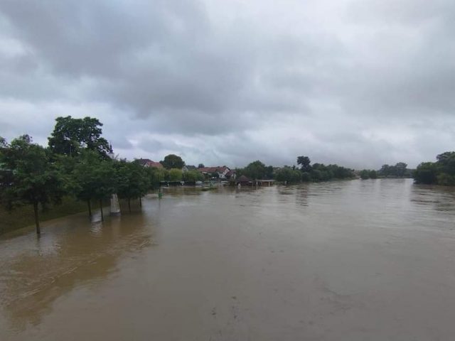 FB_IMG_1691254192783