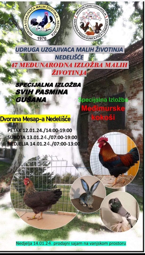 FB_IMG_1703950943462