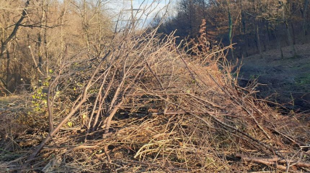 image (1)