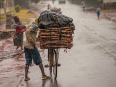 Zbog majmunskih boginja proglašena javnozdravstvena opasnost u Africi