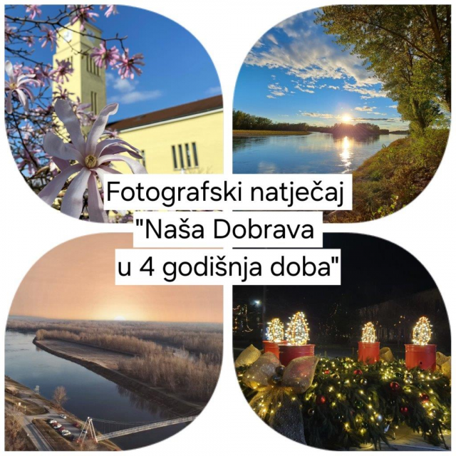 image (2)