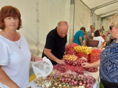 Suradnja sa Slovenijom preko zajedničkog projekta – Dani ljuka