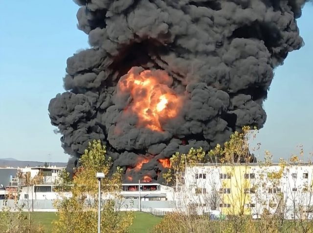 FB_IMG_1762264997830