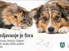 Najbolji trenutak za udomljavanje ljubimca – baš svaki!