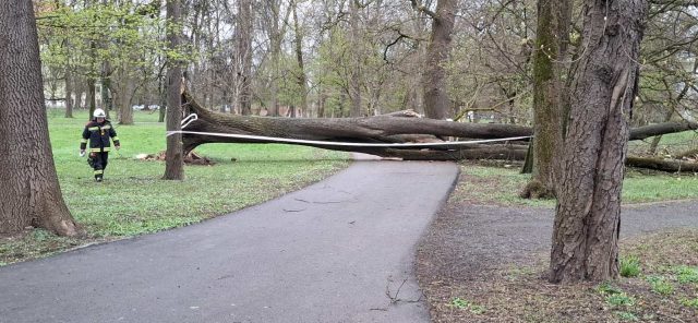 viber_slika_2026-03-26_16-18-57-334