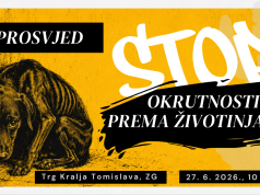 Umjesto brojanja mrtvih životinja, hitno osnovati inspekciju za zaštitu životinja!