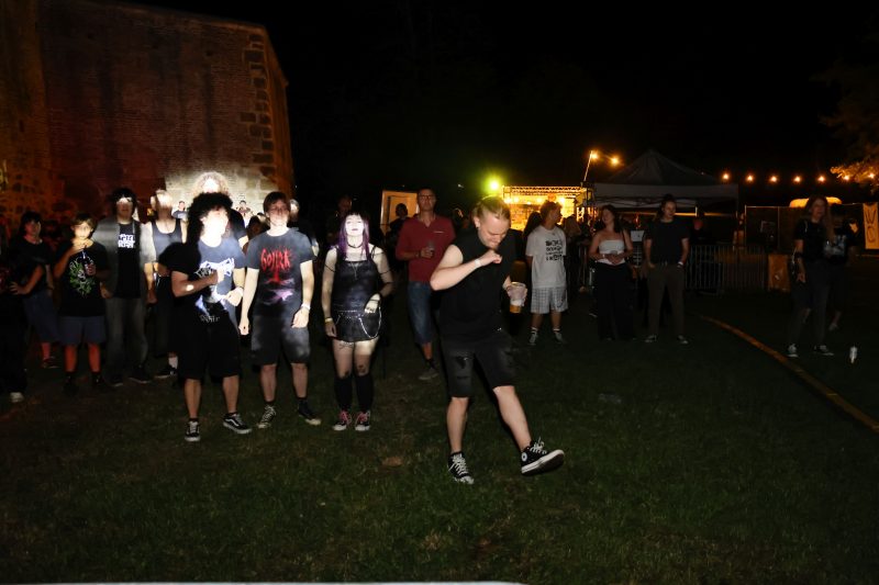 3FF festival 2026