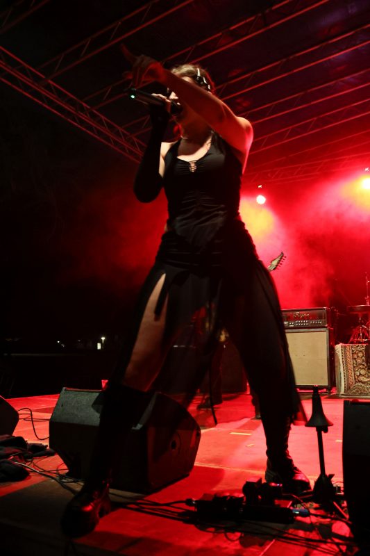 3FF festival 2026