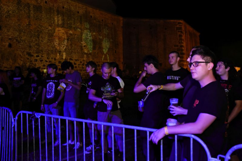 3FF festival 2026