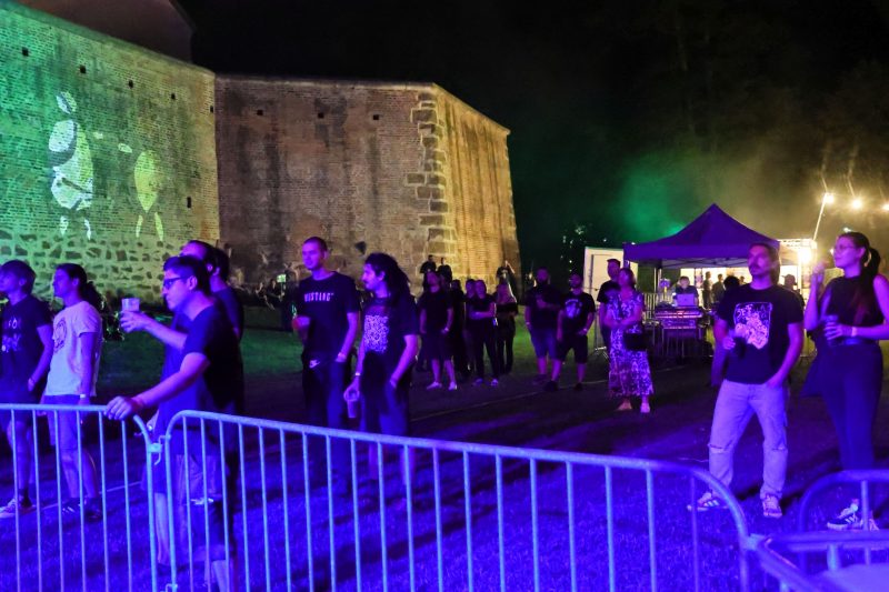 3FF festival 2026