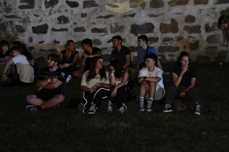 3FF festival 2026