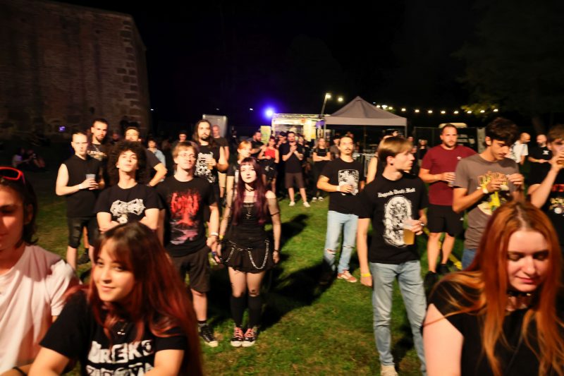 3FF festival 2026